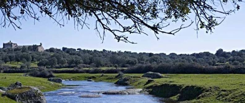 Abierto el plazo para inscribirse en la ruta por la Colada de Albalá y Vereda de la Calzada