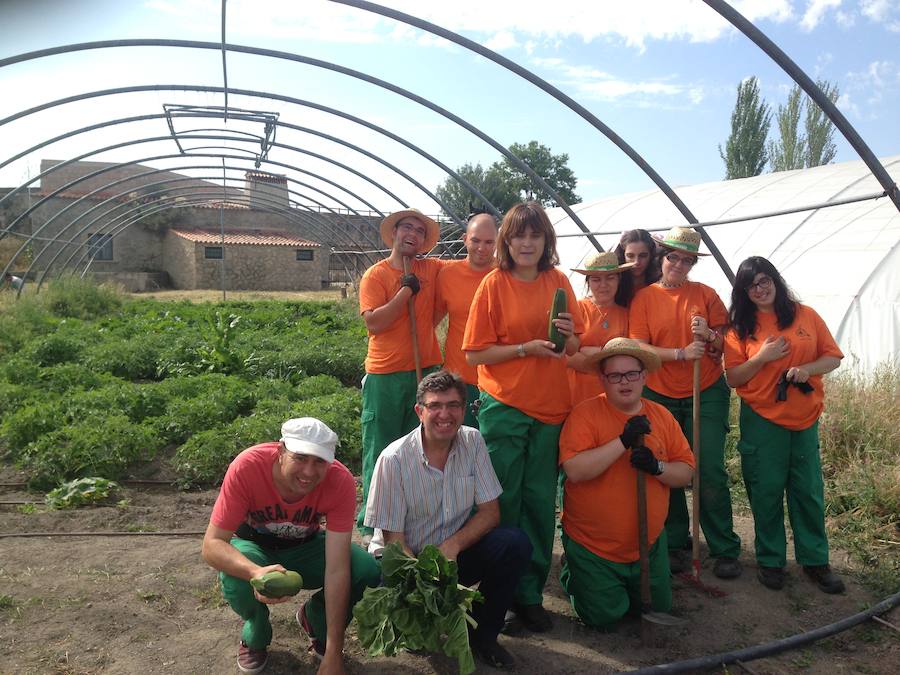 Jardín Comestible de la asociación Al Compás. 