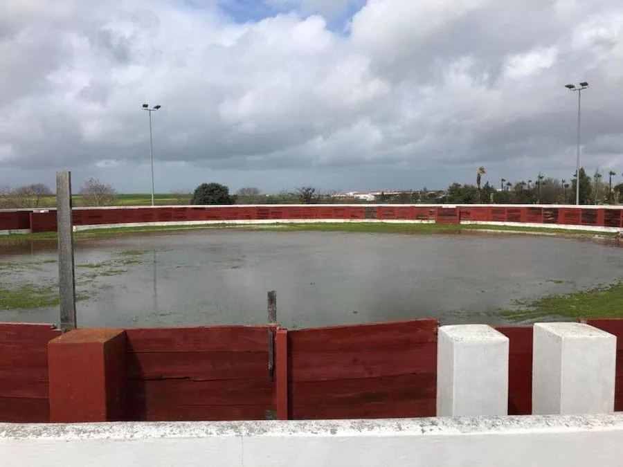 Imagen de este fin de semana de la Plaza de Toros de Malpartida, llena de agua tras las abundantes lluvias. 