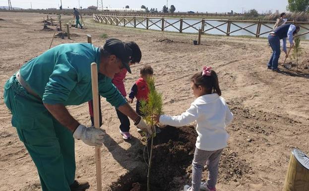 Una niña planta un árbol ayudada por un operario 