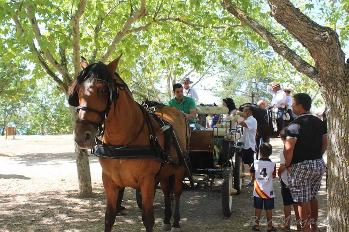 Del 10 al 12 de agosto se han celebrado en Miajadas las fiestas locales, que han llenado de color y diversión las calles de la localidad. Actividades para todos los públicos, música y un gran ambiente del que han disfrutado los vecinos de la localidad.