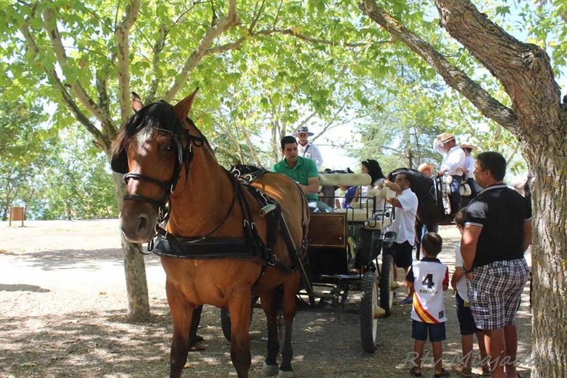 Del 10 al 12 de agosto se han celebrado en Miajadas las fiestas locales, que han llenado de color y diversión las calles de la localidad. Actividades para todos los públicos, música y un gran ambiente del que han disfrutado los vecinos de la localidad.