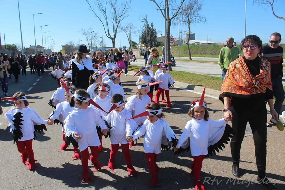 El fin de semana de Carnaval en Miajadas abrió lleno de actividades para el disfrute de pequeños y mayores.Los más pequeños deleitaron a los vecinos con sus desfiles llenos de color, con los colegios Sagrado Corazón, Nuestra Señora de Guadalupe, García Siñeriz o las escuelas Arco Iris, Majetes, y Jardín de Infancia Acuarela.Anoche se celebró el exitoso concurso de disfraces, un calentamiento para el Gran Desfile de Carnaval del sábado. Bajo el lema de este año 'La huerta miajadeña', más de 500 personas se concentraron en la carpa habilitada en la plaza. El primer premio, de 200 euros, fue a parar a manos del grupo de tractores 'El precio justo', el segundo premio, que consistía en 150 euros, fue otorgado al grupo 'Los paradores de Miajadas', y el cheque de 75 euros del tercer premio fue entregado al grupo 'Nos falta un hervor'. 