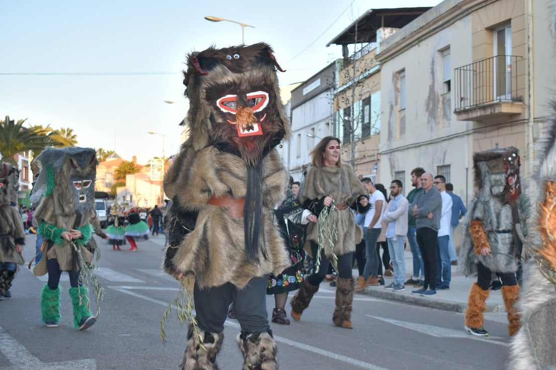 La tarde del pasado sábado 22 de febrero Miajadas acogió a cientos de personas que participaron en el Gran Desfile de Carnaval y asistieron a presenciarlo y disfrutarlo. La localidad se convirtió en un mundo de fantasía donde todo tenía cabida: Alaskas de diferentes edades, científicos locos, las Olimpiadas, luchadores de esgrima, astronautas, monstruos, caballeros, vikingos del futuro, arlequines, hortalizas que cobraron vida, piratas que llegaron desde muy muy lejos y traían su propia isla a cuestas, tribus llegadas desde tierras aún más lejanas, e incluso el mismísimo Buda. El mundo Disney fue el gran protagonista, con bailarines de fantasía, princesas hormonadas, madrastras malvadas, Blancanieves y el príncipe, Pinocho y Geppetto y Alicia en el País de las maravillas con un sombrerero loco multiplicado sobre sí mismo. El gran musical que marcó la vida de muchos y muchas adolescentes y el gran referente que es en sí misma la película 'Grease' llegó a Miajadas de mano de la comparsa 'Los Colegas'. Y, cómo no, la gran maestría de los músicos que amenizaron el desfile de más de 700 participantes y que, como merecía la ocasión, lucieron sus mejores galas. 