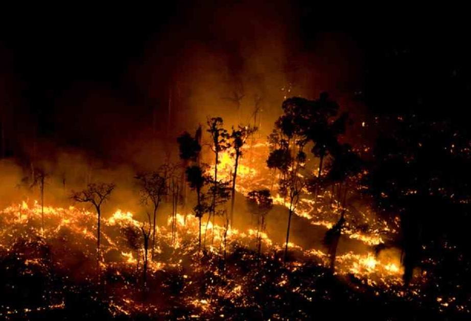 Los incendios en la selva de Brasil duraron meses 