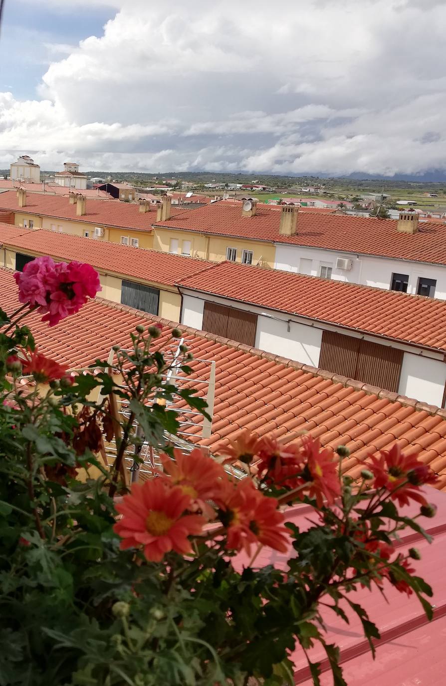 Mediante la iniciativa turística y cultural 'A través de tu ventana', impulsada por el Ayuntamiento, los vecinos de Miajadas comparten las vistas que poseen desde sus ventanas, balcones o terrazas para que todos puedan seguir paseando por sus calles. La calle Infanta Cristina, la avenida Cruz de los Pajares, calle Faldiego, avenida Trujillo, calle Los almendros, calle Andrés Segovia, Los naranjos, plaza La Llanada, el parque de Los Mártires, calle Dos de mayo, calle Castelar, el barrio La estación, la calle Paloma, calle Alfredo Kraus, calle Prim, el barrio de Las 100 viviendas, calle Palacios, calle Canteros, Salvador Dalí, avenida García Siñeriz, calle Medellín, Picasso, Obra Pía, la calle Juan de Ávalos, Acacias, Martín Cerezo, la plaza Santa Teresa o la calle Corredera son algunos de los hermosos rincones de la localidad, vistos ahora con otros ojos. 