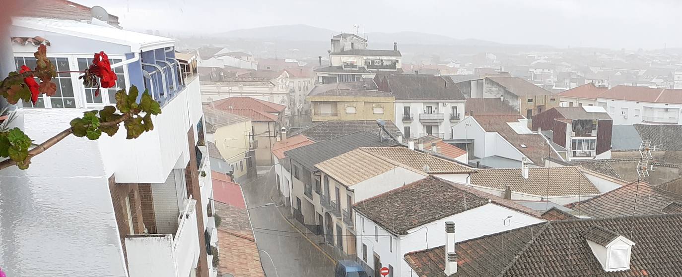 Mediante la iniciativa turística y cultural 'A través de tu ventana', impulsada por el Ayuntamiento, los vecinos de Miajadas comparten las vistas que poseen desde sus ventanas, balcones o terrazas para que todos puedan seguir paseando por sus calles. La calle Infanta Cristina, la avenida Cruz de los Pajares, calle Faldiego, avenida Trujillo, calle Los almendros, calle Andrés Segovia, Los naranjos, plaza La Llanada, el parque de Los Mártires, calle Dos de mayo, calle Castelar, el barrio La estación, la calle Paloma, calle Alfredo Kraus, calle Prim, el barrio de Las 100 viviendas, calle Palacios, calle Canteros, Salvador Dalí, avenida García Siñeriz, calle Medellín, Picasso, Obra Pía, la calle Juan de Ávalos, Acacias, Martín Cerezo, la plaza Santa Teresa o la calle Corredera son algunos de los hermosos rincones de la localidad, vistos ahora con otros ojos. 