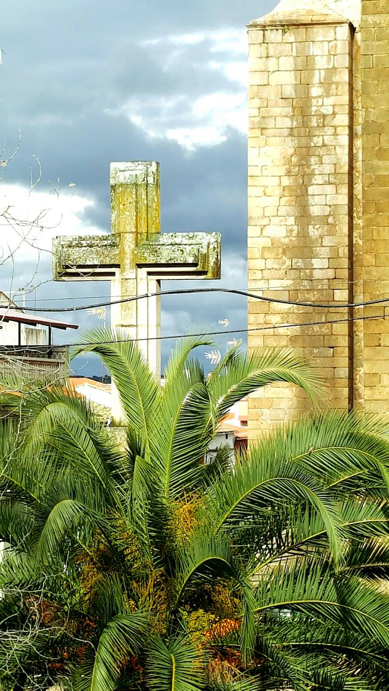 Mediante la iniciativa turística y cultural 'A través de tu ventana', impulsada por el Ayuntamiento, los vecinos de Miajadas comparten las vistas que poseen desde sus ventanas, balcones o terrazas para que todos puedan seguir paseando por sus calles. La calle Infanta Cristina, la avenida Cruz de los Pajares, calle Faldiego, avenida Trujillo, calle Los almendros, calle Andrés Segovia, Los naranjos, plaza La Llanada, el parque de Los Mártires, calle Dos de mayo, calle Castelar, el barrio La estación, la calle Paloma, calle Alfredo Kraus, calle Prim, el barrio de Las 100 viviendas, calle Palacios, calle Canteros, Salvador Dalí, avenida García Siñeriz, calle Medellín, Picasso, Obra Pía, la calle Juan de Ávalos, Acacias, Martín Cerezo, la plaza Santa Teresa o la calle Corredera son algunos de los hermosos rincones de la localidad, vistos ahora con otros ojos. 