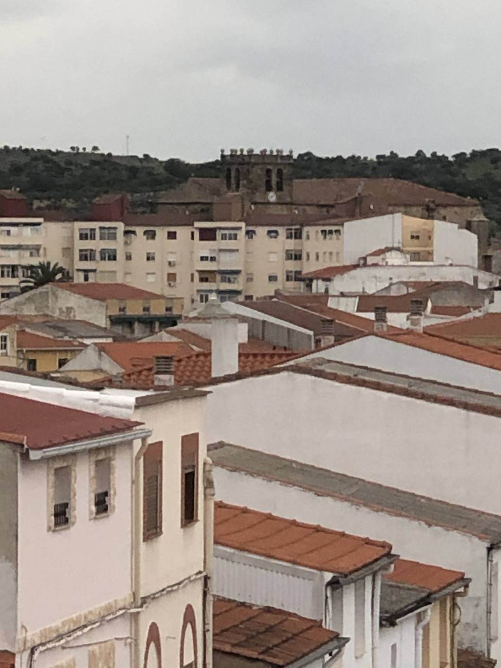 Mediante la iniciativa turística y cultural 'A través de tu ventana', impulsada por el Ayuntamiento, los vecinos de Miajadas comparten las vistas que poseen desde sus ventanas, balcones o terrazas para que todos puedan seguir paseando por sus calles. La calle Infanta Cristina, la avenida Cruz de los Pajares, calle Faldiego, avenida Trujillo, calle Los almendros, calle Andrés Segovia, Los naranjos, plaza La Llanada, el parque de Los Mártires, calle Dos de mayo, calle Castelar, el barrio La estación, la calle Paloma, calle Alfredo Kraus, calle Prim, el barrio de Las 100 viviendas, calle Palacios, calle Canteros, Salvador Dalí, avenida García Siñeriz, calle Medellín, Picasso, Obra Pía, la calle Juan de Ávalos, Acacias, Martín Cerezo, la plaza Santa Teresa o la calle Corredera son algunos de los hermosos rincones de la localidad, vistos ahora con otros ojos. 