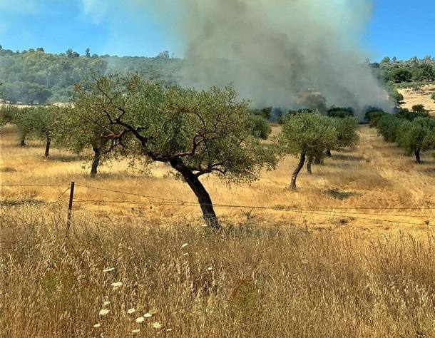 El alcalde pide a los vecinos que extremen la precaución ante el peligro de incendios