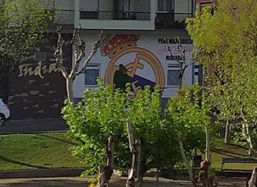 Sede de la Peña Madridista 'José Gallego' de Miajadas 