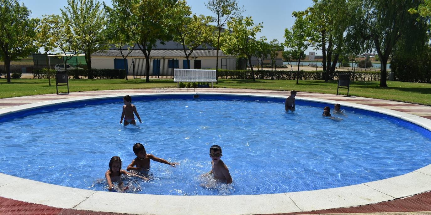 Al menos pueden aguantar mejor el calor en la pequeña piscina habilitada para ellos 