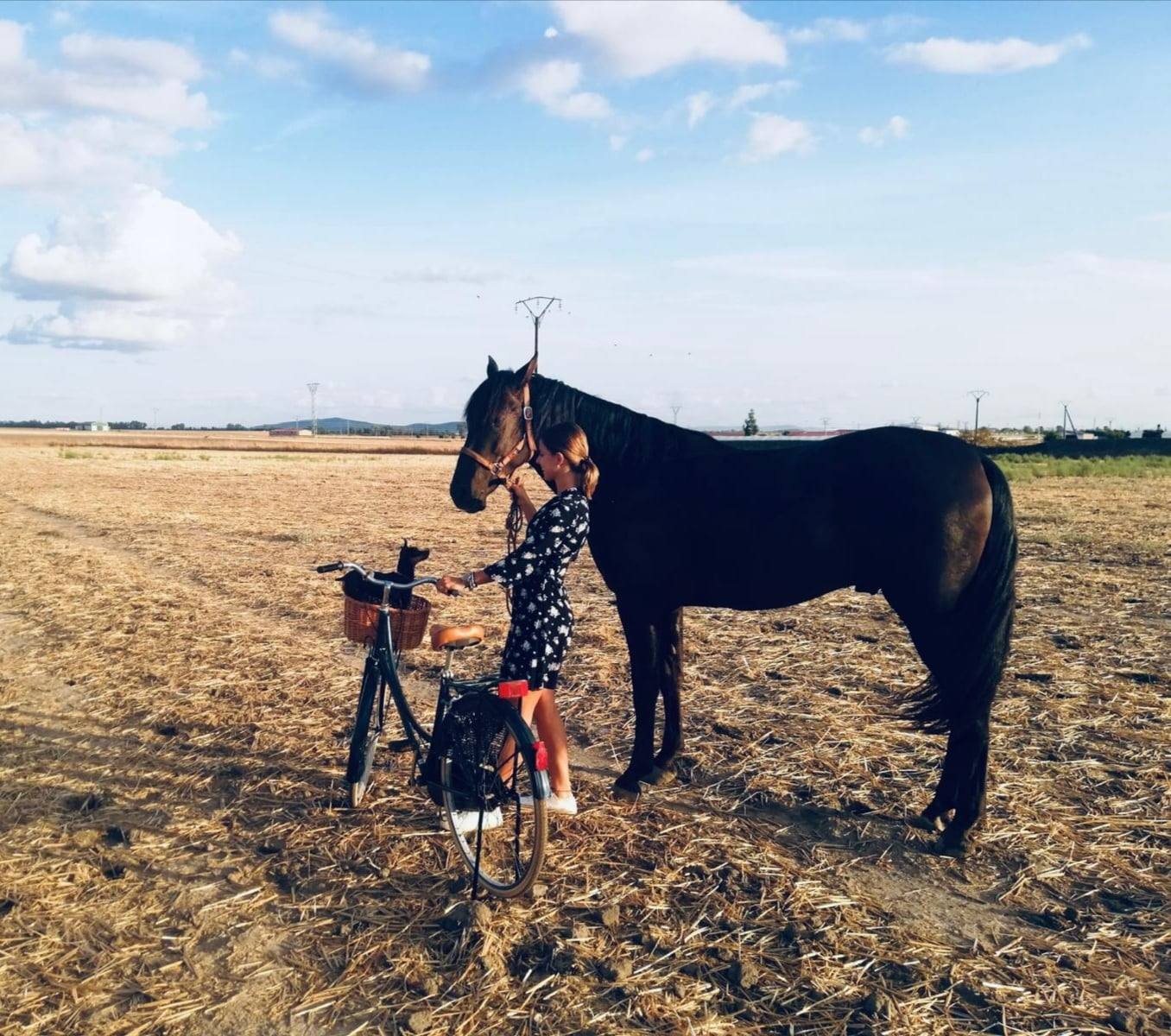 No hay nada como dar un buen paseo en bicicleta o a caballo 