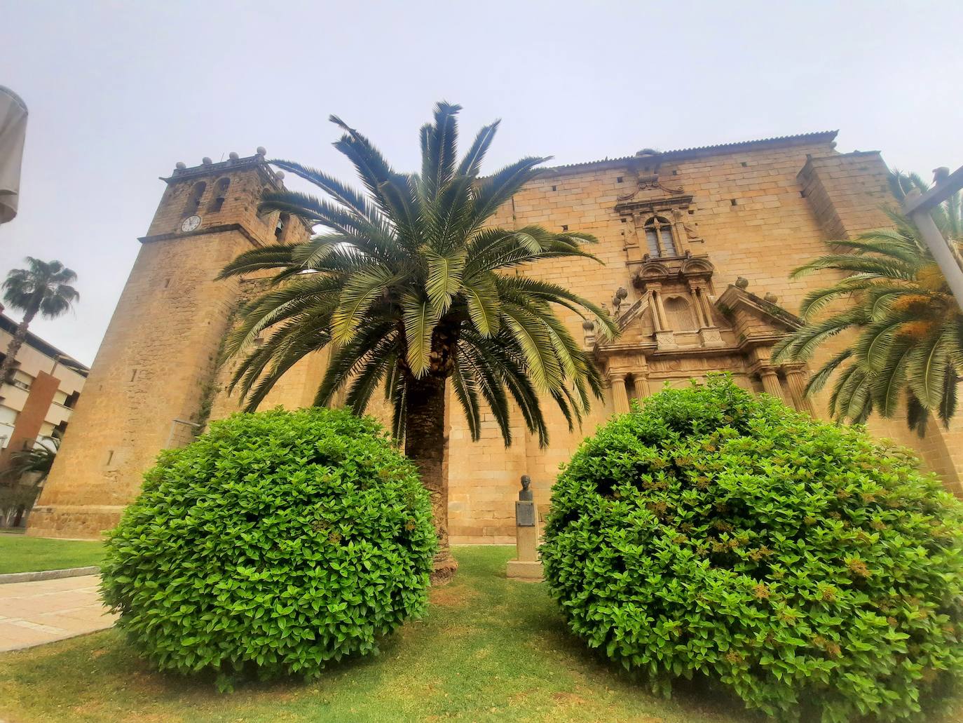 Miajadas ha vivido esta Semana Santa atípica en el interior de los templos, centrada en una 'reflexión interior'. Una situación que consideran una 'lección de vida' para entender y profundizar aspectos de la vida como el amor, la entrega, la pasión y la cruz presentes en los misterios de la vida de Cristo. 