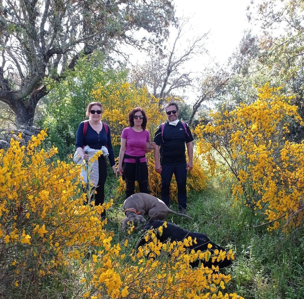 Ayer, 6 de abril, se celebró el Día Internacional del Deporte para el Desarrollo y la Paz, y los miajadeños se volcaron para poner su granito de arena. El Área de Deportes recibió una amplia respuesta a su propuesta convertida en fotografías de todos los deportistas con los que Miajadas tiene la suerte de contar. Voleibol, baloncesto, ciclismo, pádel, marcha, senderismo, running, ping pong, patinaje,... Todo lo que contribuya a la salud física es bienvenido. 