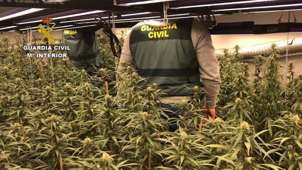 Agentes en una de las plantaciones 