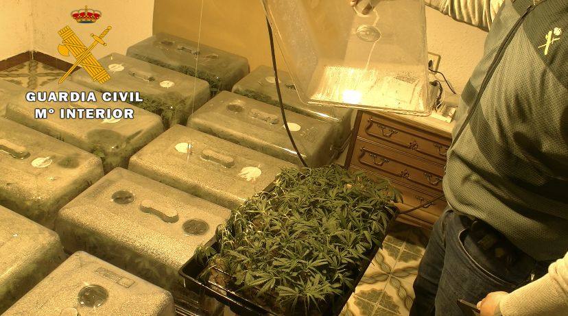 Guardia Civil junto a los mini invernaderos de marihuana 