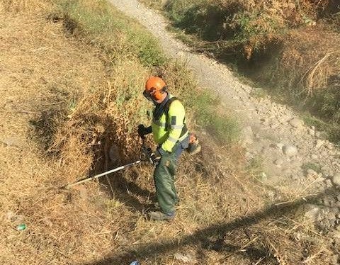 El Ayuntamiento recuerda a los propietarios de solares su obligación de mantenerlos limpios