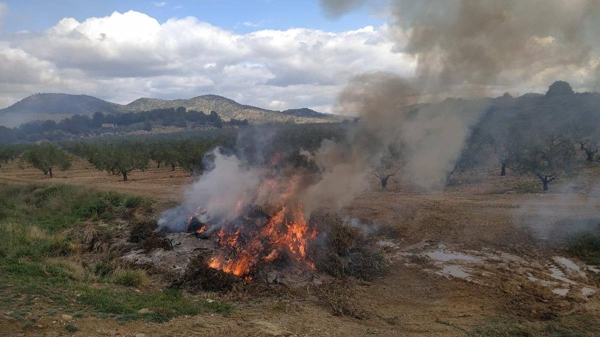 Los responsables de la quema de restos vegetales deberán avisar a partir del 1 de junio