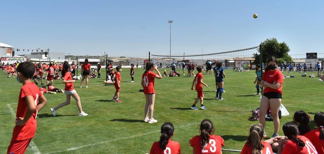 El Estadio Municipal de Miajadas acogió el 'X Día del Minivoley de Extremadura', en el que se dieron cita unos 340 jugadores prebenjamines, benjamines y alevines llegados desde Cáceres, Badajoz, Mérida, Coria, Usagre, Almendralejo, Brozas, Torrejoncillo, Ribera del Fresno, Madrigal de la Vera, Villanueva del Fresno y Miajadas. El césped fue dividido en diez canchas en las que disputaron distintos partidos de manera simultánea desde las 10 de la mañana hasta las 12:30, debido a las altas temperaturas. Al finalizar la jornada cada jugador recibió una medalla por parte del presidente de la Federación Extremeña de Voleibol, José Carlos Dómine, el vicepresidente Antonio García, y el alcalde de Miajadas, Antonio Díaz. 