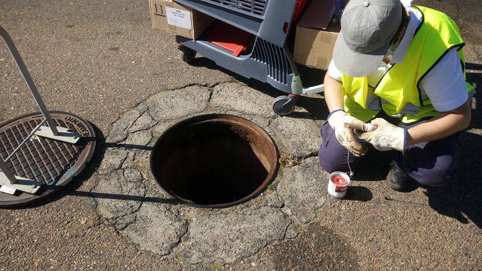 Mañana se llevará a cabo la desinsectación de la zona 8 de Miajadas 'Avenida García Siñeriz – Zona Norte'