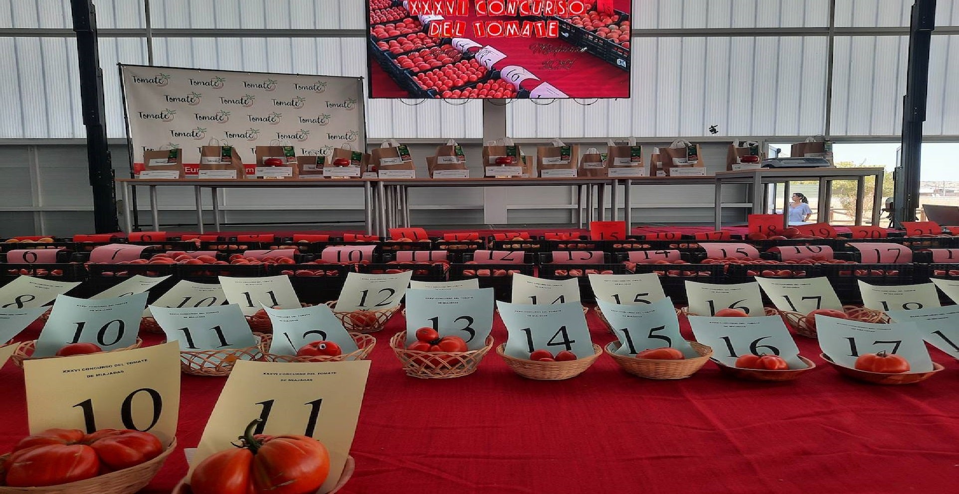 Tomates presentados al XXXVI Concurso en Miajadas 