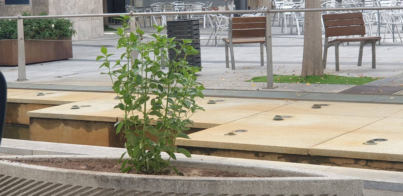Uno de los nuevos durillos de la Avenida de Trujillo de Miajadas 