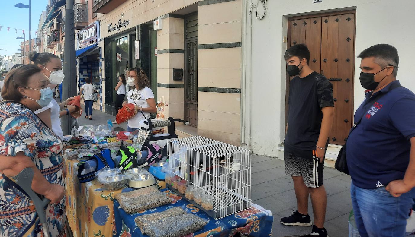 Vecinos y visitantes han vuelto a disfrutar de la iniciativa miajadeña 'El comercio sale a la calle', impulsada por ACOMIC. Pequeños empresarios de la localidad pusieron sus stands a lo largo de la avenida Trujillo y ofrecieron gran variedad de productos a precios de liquidación. Los clientes pudieron comprar a buenos precios y los comerciantes pudieron sacar stocks para poder hacer sitio a la nueva temporada. La actividad estuvo controlada en todo momento por Policía Local y Protección Civil. 