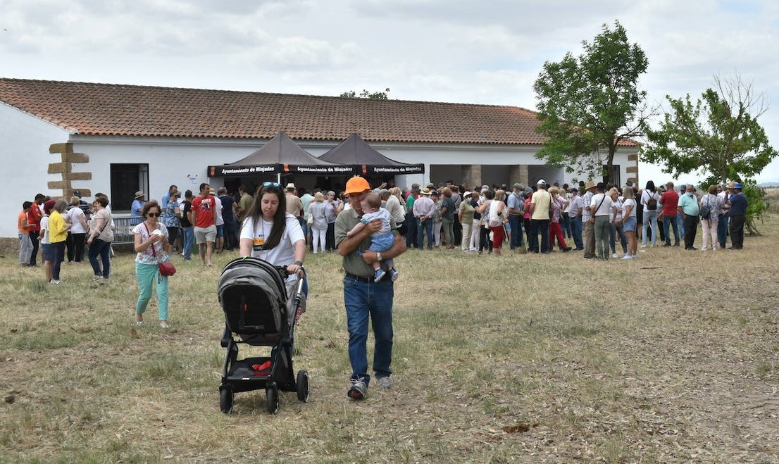 La alegría de la romería de San Isidro volvió a Miajadas este 15 de mayo en todo su esplendor. El Santo estuvo, los miajadeños estuvieron, los caballos estuvieron,... y no faltó de nada. Hubo procesión, misa, peregrinación ecuestre con la asociación miajadeña 'La Garrocha', concurso de tortilla de patatas, y, sobre todo, un día de campo y convivencia entre familia y amigos. El tiempo acompañó, y ya se echaba de menos después de dos años de ausencia. Así lo demostraron todos. 
