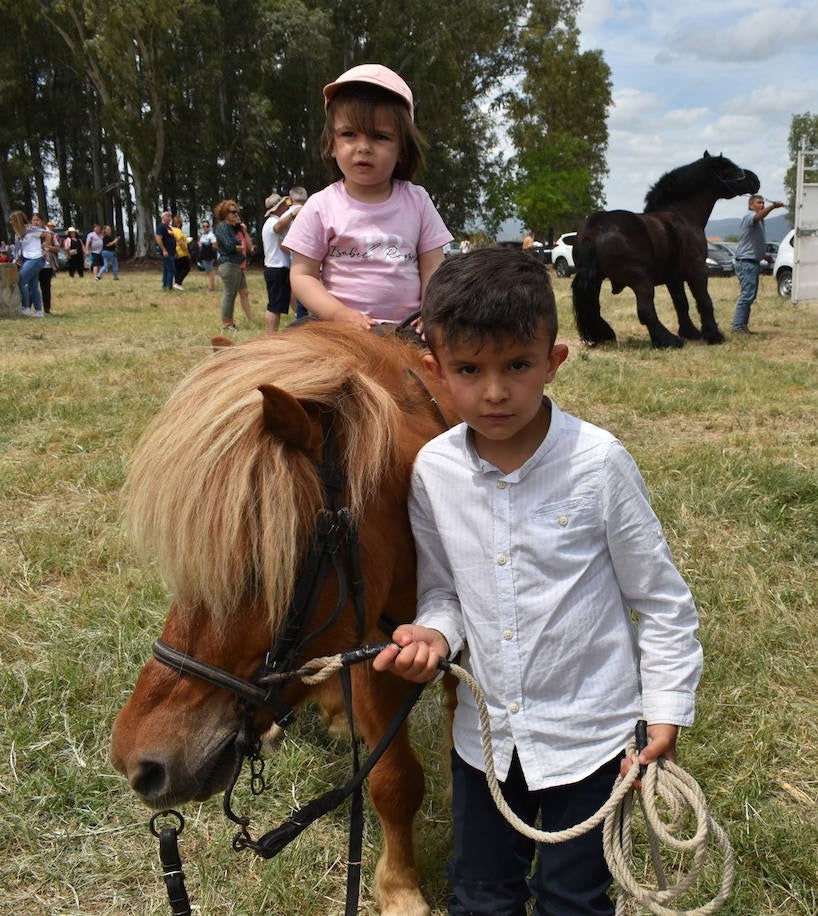 La alegría de la romería de San Isidro volvió a Miajadas este 15 de mayo en todo su esplendor. El Santo estuvo, los miajadeños estuvieron, los caballos estuvieron,... y no faltó de nada. Hubo procesión, misa, peregrinación ecuestre con la asociación miajadeña 'La Garrocha', concurso de tortilla de patatas, y, sobre todo, un día de campo y convivencia entre familia y amigos. El tiempo acompañó, y ya se echaba de menos después de dos años de ausencia. Así lo demostraron todos. 