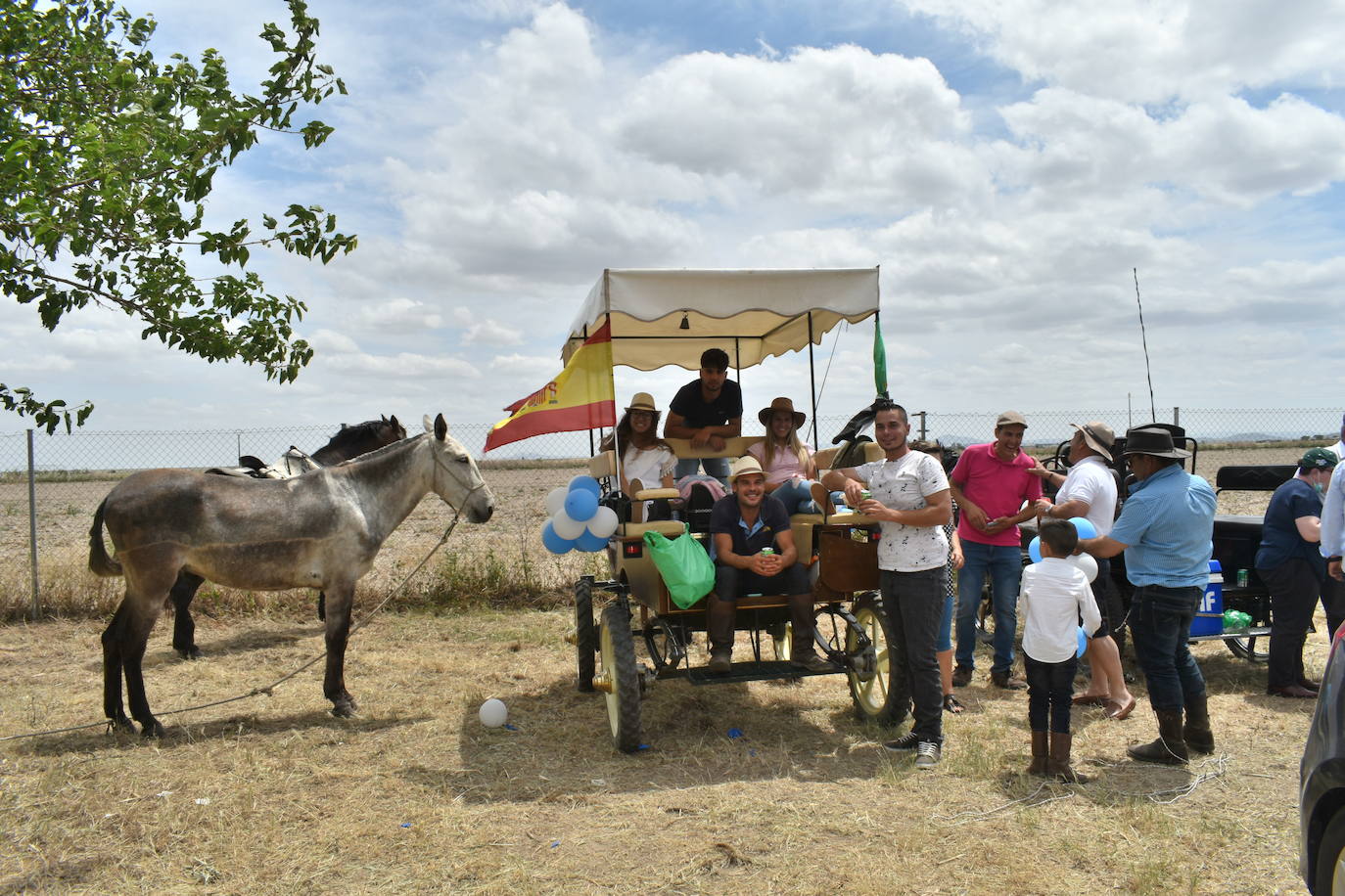 La alegría de la romería de San Isidro volvió a Miajadas este 15 de mayo en todo su esplendor. El Santo estuvo, los miajadeños estuvieron, los caballos estuvieron,... y no faltó de nada. Hubo procesión, misa, peregrinación ecuestre con la asociación miajadeña 'La Garrocha', concurso de tortilla de patatas, y, sobre todo, un día de campo y convivencia entre familia y amigos. El tiempo acompañó, y ya se echaba de menos después de dos años de ausencia. Así lo demostraron todos. 