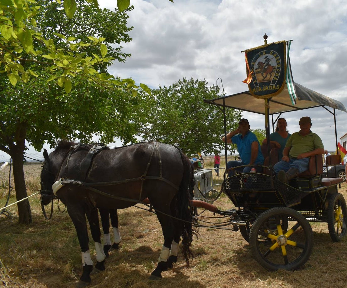 La alegría de la romería de San Isidro volvió a Miajadas este 15 de mayo en todo su esplendor. El Santo estuvo, los miajadeños estuvieron, los caballos estuvieron,... y no faltó de nada. Hubo procesión, misa, peregrinación ecuestre con la asociación miajadeña 'La Garrocha', concurso de tortilla de patatas, y, sobre todo, un día de campo y convivencia entre familia y amigos. El tiempo acompañó, y ya se echaba de menos después de dos años de ausencia. Así lo demostraron todos. 
