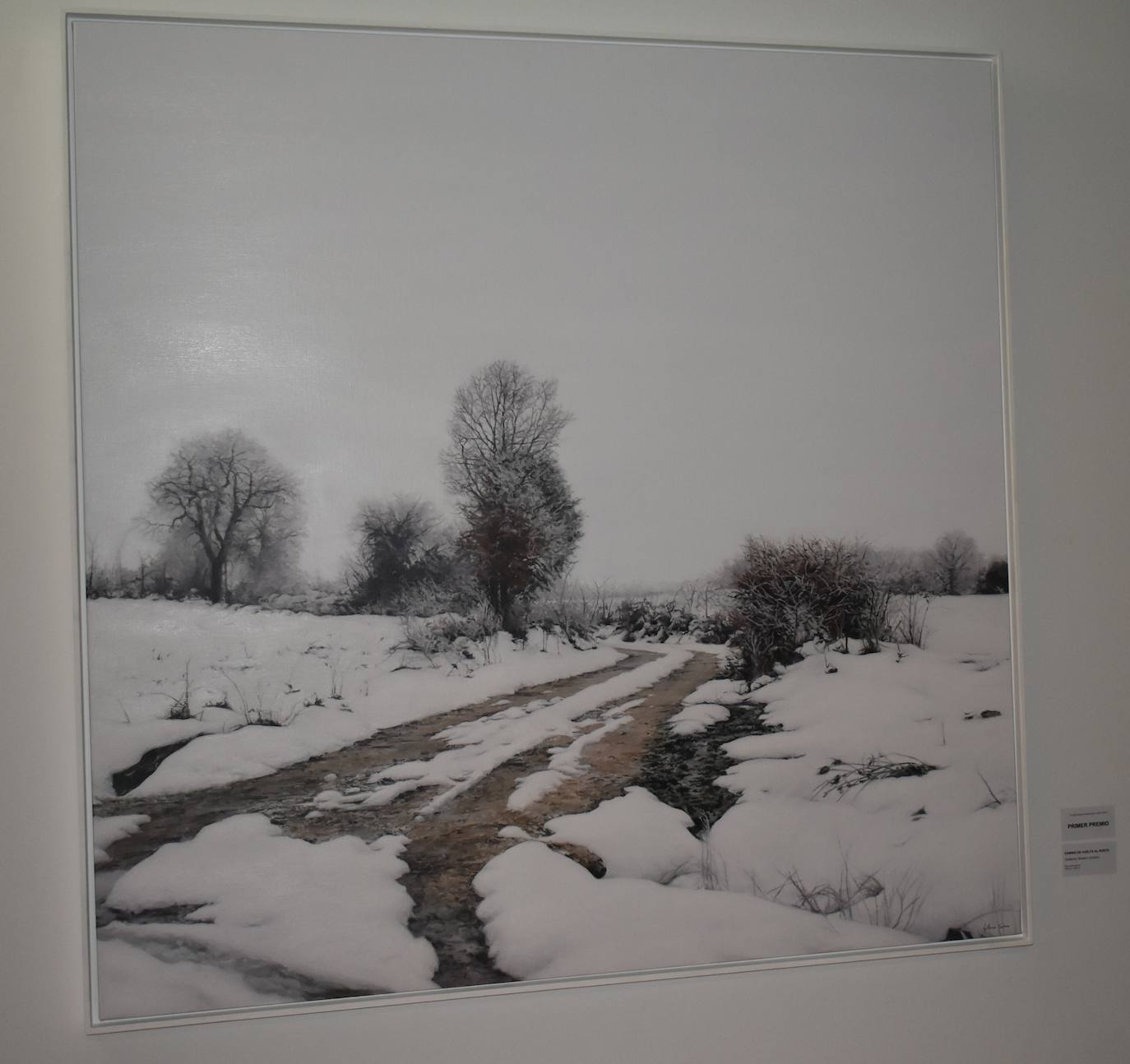 El XI Certamen de Pintura Fundación Laura Otero vivió una gala final memorable. Con el grupo musical Anam Camerata amenizando la noche en el Palacio Obispo Solís, y el neumólogo Juan Fernando Masa como invitado de honor, la fundación retomó su tradición de la forma más emotiva, esperada y especial. Guillermo Sedano ha sido el ganador de esta edición con 'Camino del vuelta al norte', mientras que Juan Carlos Gil ha conseguido el segundo premio con 'Composición con patines' y David Palomero se ha hecho con el Accésit con 'Lucía'. Tras el acto oficial, los asistentes pudieron disfrutar de la exposición, abierta hasta el 15 de julio. 