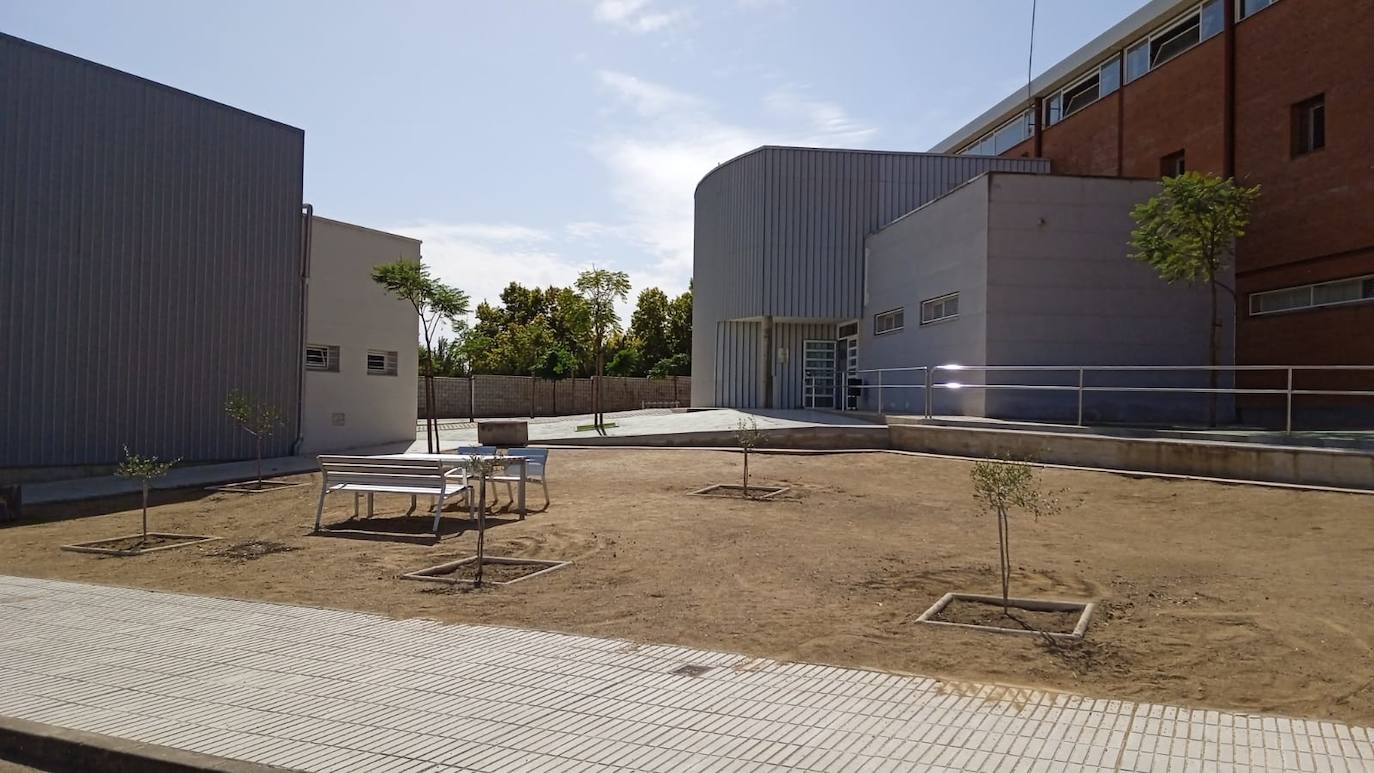 El Servicio Municipal de Parques y Jardines está repoblando las zonas verdes