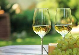 El Palacio Obispo Solís acogerá la cata de vinos y música 'Llegada de la primavera'