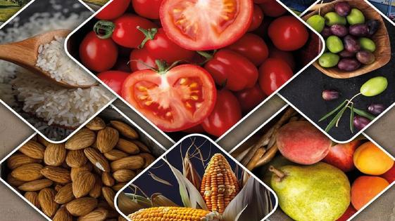 Miajadas acoge este fin de semana su V Feria Agroalimentaria