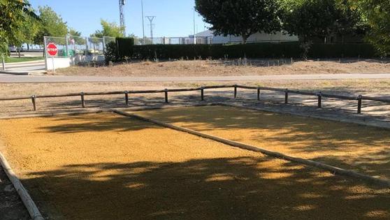 La Laguna Nueva acoge mañana el XIX Premio de Petanca para adultos