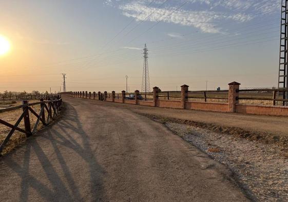 Finalizan los trabajos de restauración en la zona de paseo del Parque Mediterráneo