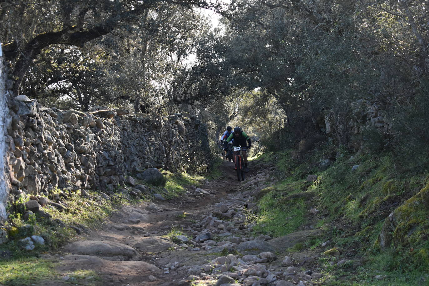 Miajadas volvió a convertirse un año más en punto referente del ciclismo con su famosa prueba Titán de los Ríos, congregando lo mejor del panorama nacional en un paraje natural incomparable. 