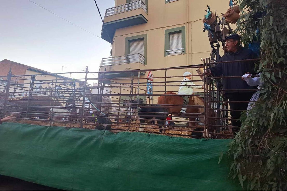FOTOS: La magia de la Cabalgata de Reyes Magos recorrió las calles de Miajadas