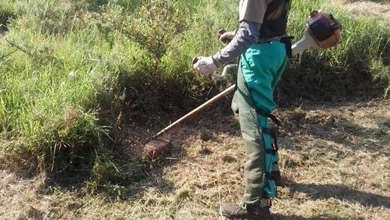 El Ayuntamiento recuerda la obligatoriedad de mantener limpias las parcelas privadas