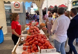 La Capital europea del tomate se prepara para su VI Feria Agroalimentaria