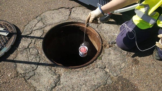 Tratamiento de desinsectación contra la población de cucarachas en la zona de 120-150 viviendas y calle Pilones