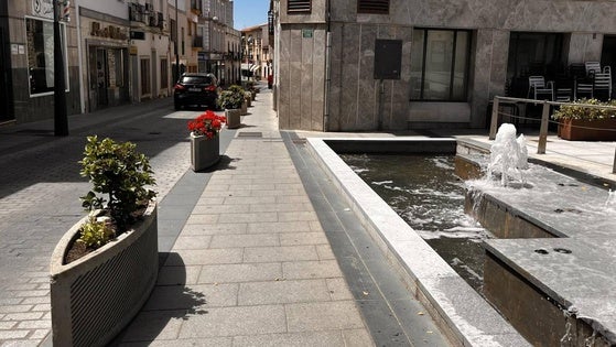 Los maceteros de la avenida Trujillo y calle Real lucen nuevas plantas de temporada