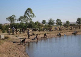 Concurso de pesca infantil.
