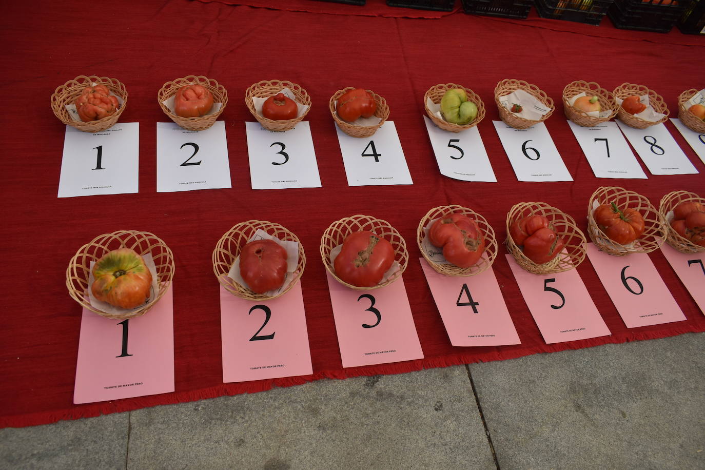 FOTOS: Concurso del tomate 2024