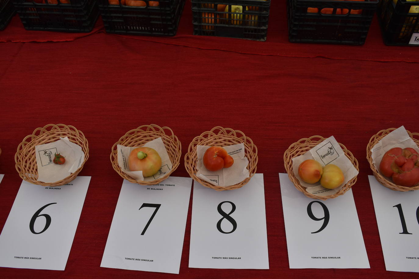 FOTOS: Concurso del tomate 2024