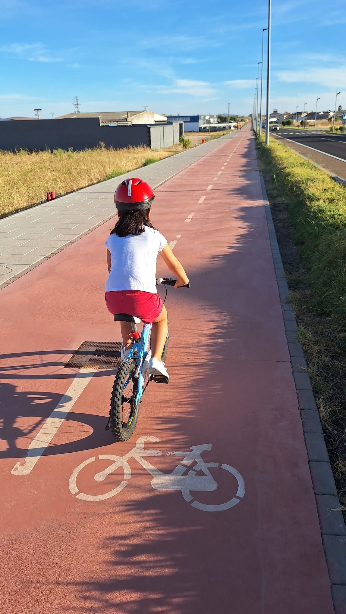 Fotos: VII Concurso fotográfico SEM