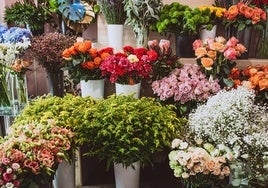 El Ayuntamiento recuerda que sólo podrán vender flores los establecimientos autorizados
