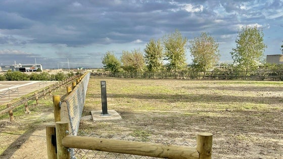 Los animales miajadeños ya tienen su propio espacio municipal para correr y disfrutar